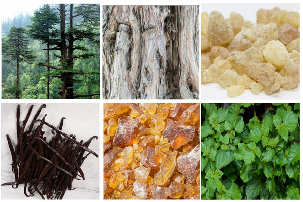 Exploring Base Notes in Natural Perfumery