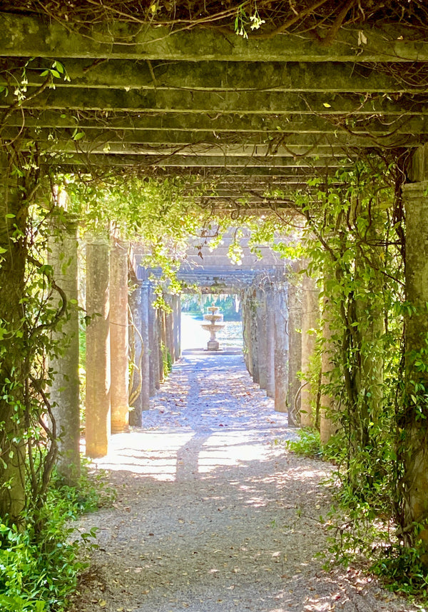 Idyllic Muse: Capturing Beauty with Botanicals